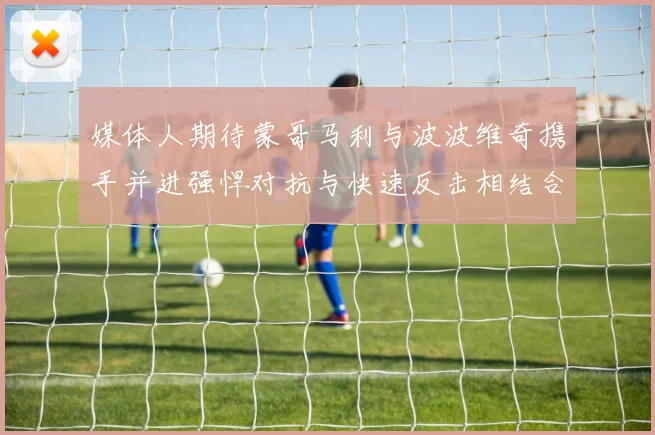 媒体人期待蒙哥马利与波波维奇携手并进强悍对抗与快速反击相结合