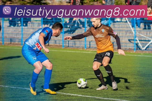 雷速体育官网发展历程