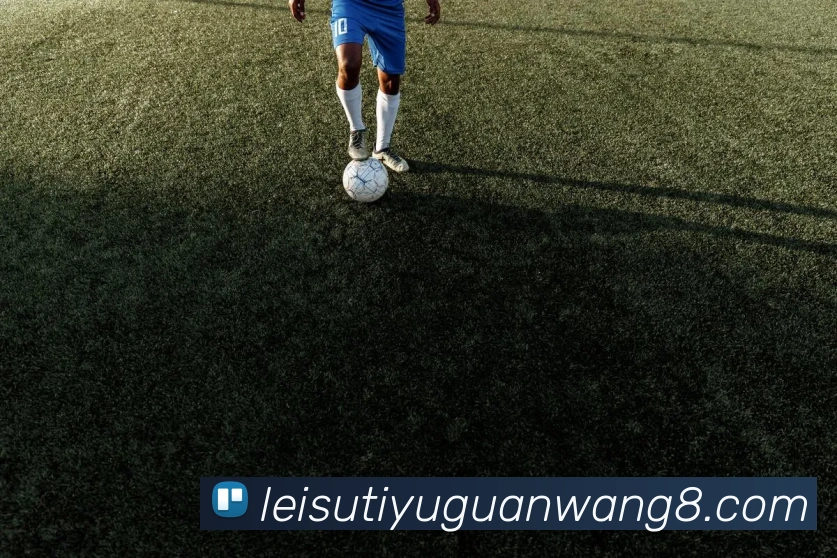 穆雷在约基奇缺阵期间展现全能表现场均278分11助攻58篮板